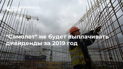 "Самолет" не будет выплачивать дивиденды за 2019 год - realty.ria.ru - Москва