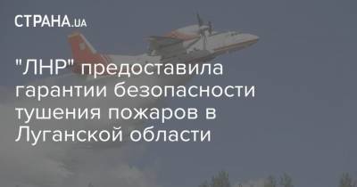 Алексей Резников - "ЛНР" предоставила гарантии безопасности тушения пожаров в Луганской области - strana.ua - Россия - Украина - Луганская обл. - ЛНР - Гсчс