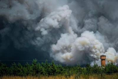В Луганской области с беспилотник сняли масштабы лесного пожара - mignews.com.ua - Луганская обл.