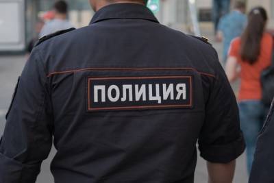 Владимир Соловьев - Полиция объяснила незаконность одиночных пикетов - mk.ru - Россия