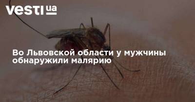 Во Львовской области у мужчины обнаружили малярию - vesti.ua - Львовская обл. - Уганда