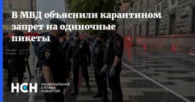Владимир Соловьев - В МВД объяснили карантином запрет на одиночные пикеты - nsn.fm - Россия