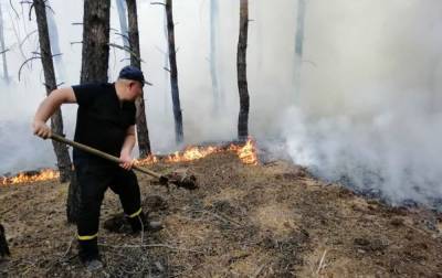 В Луганской области потушили один из очагов пожара - rbc.ua - Украина - Луганская обл.