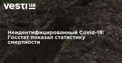 Неидентифицированный Covid-19: Госстат показал статистику смертности - vesti.ua - Украина