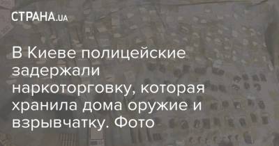 В Киеве полицейские задержали наркоторговку, которая хранила дома оружие и взрывчатку. Фото - strana.ua - Украина - Киев