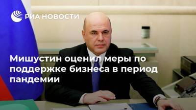 Михаил Мишустин - Мишустин оценил меры по поддержке бизнеса в период пандемии - ria.ru - Москва - Россия