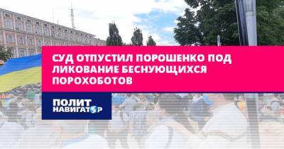 Петр Порошенко - Марина Порошенко - Суд отпустил Порошенко под ликование беснующихся порохоботов - politnavigator.net - Россия - Украина - Киев - Полтава