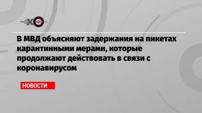 Валерий Фадеев - Татьяна Москалькова - В МВД объясняют задержания на пикетах карантинными мерами, которые продолжают действовать в связи с коронавирусом - echo.msk.ru - Москва - Россия