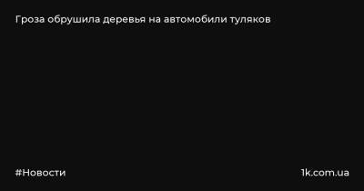 М.Горький - Гроза обрушила деревья на автомобили туляков - 1k.com.ua - Украина - Тула