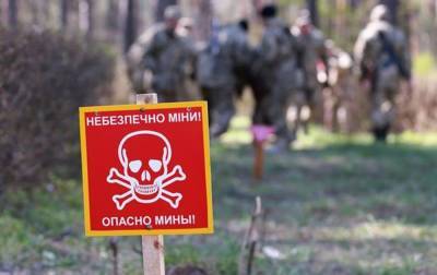 ТКГ согласовала 13 участков для разминирования на Донбассе - rbc.ua - Россия - Украина - Донбасс