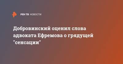 Михаил Ефремов - Александр Добровинский - Эльман Пашаев - Добровинский оценил слова адвоката Ефремова о грядущей "сенсации" - ren.tv - Москва