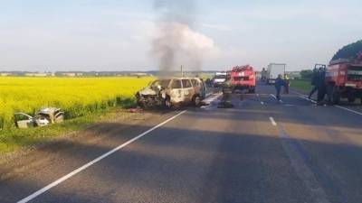 Под Барнаулом столкнулись Land Cruiser Prado и Datsun on-DO - водитель седана погиб, а внедорожник сгорел - usedcars.ru - Барнаул - Barnaul