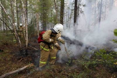 Потушить крупный лесной пожар в Бурятии помогут пожарные из Хабкрая - hab.aif.ru - Хабаровский край - респ.Бурятия - район Баргузинский