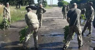 Владимир Зеленский - В Луцке военные выгребали воду из луж перед визитом Зеленского – СМИ - tsn.ua - Луцк - Севастополь - Волынская обл.