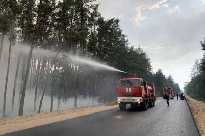 Лесной пожар в Луганской области надеются погасить в течение двух дней, - председатель Луганской ОГА - vkcyprus.com - Украина - Луганская обл.