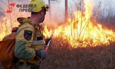 В Якутии пожары уничтожили почти 350 тысяч гектаров леса - fedpress.ru - респ. Саха - Якутск - Верхоянск