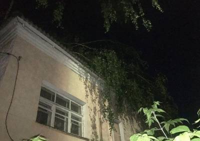Касимов - В Касимове дерево упало на жилой дом - ya62.ru - Москва - Рязанская обл.