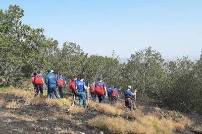 Три крупных пожара в Дагестане уничтожили 165 га земель лесного фонда - etokavkaz.ru - респ. Дагестан - район Карабудахкентский