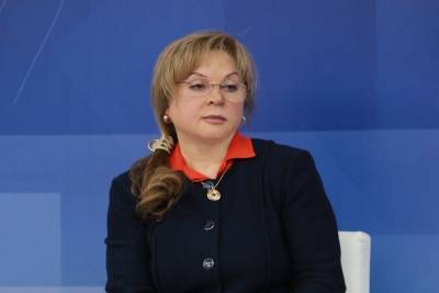 Владимир Путин - Элла Памфилова - Глава ЦИК Элла Памфилова предложила провести выборы в сентябре в течение 2–3 дней - znak.com - Россия