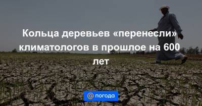 Кольца деревьев «перенесли» климатологов в прошлое на 600 лет - news.mail.ru - Бразилия - Боливия - Аргентина - Чили - Уругвай - Парагвай