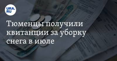 Тюменцы получили квитанции за уборку снега в июле - ura.news - Тобольск