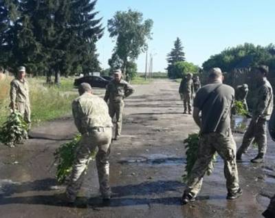 Владимир Зеленский - К визиту Зеленского «всушники» вычерпывали воду из луж - newsland.com - Украина - Луцк - Севастополь - Волынская обл.