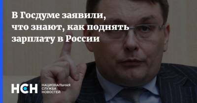 Вячеслав Володин - Евгений Федоров - В Госдуме заявили, что знают, как поднять зарплату в России - nsn.fm - Россия - Германия