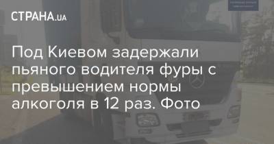 Под Киевом задержали пьяного водителя фуры с превышением нормы алкоголя в 12 раз. Фото - strana.ua - Киев - Черкасская обл.