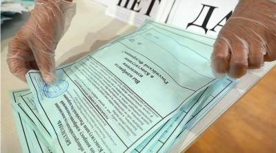Ирина Соколова - В Вологде блогера оштрафовали на 30 тысяч рублей за двойное голосование по Конституции - theins.ru - Вологда