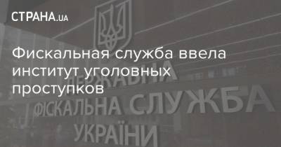 Фискальная служба ввела институт уголовных проступков - strana.ua