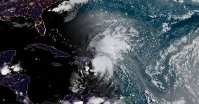 Режим ЧС объявили во Флориде из-за урагана "Исаиас" - ren.tv - США - Техас - шт.Флорида