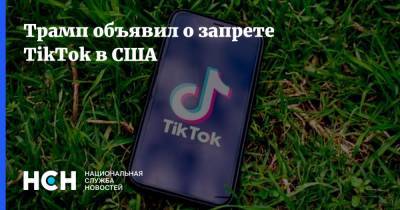 Дональд Трамп - Трамп объявил о запрете TikTok в США - nsn.fm - США - Вашингтон - шт.Флорида