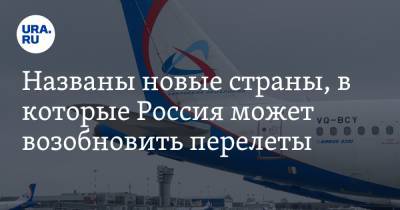 Юрий Барзыкин - Названы новые страны, в которые Россия может возобновить перелеты - ura.news - Россия - Англия - Санкт-Петербург - Швейцария - Московская обл. - Турция - Ростов-На-Дону - Эмираты - Апсны - Тунис - Тунисская Респ. - Танзания