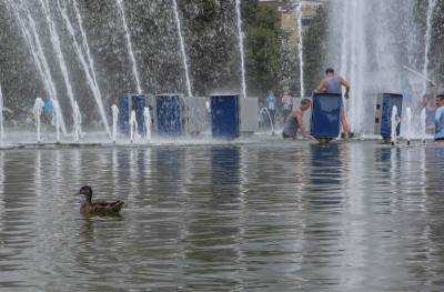 Яков Сандаков - Десантников предостерегли от купания в фонтанах из-за риска заразиться тифом и гепатитом - vm.ru