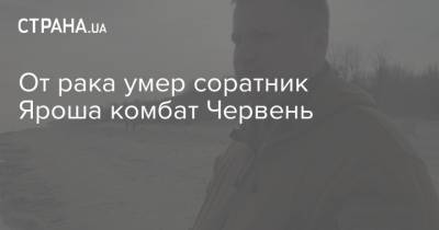 От рака умер соратник Яроша комбат Червень - strana.ua - Украина - Киев - Париж - Донбасс - Червень