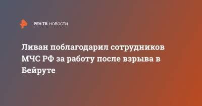 Ливан поблагодарил сотрудников МЧС РФ за работу после взрыва в Бейруте - ren.tv - Россия - Италия - Турция - Германия - Франция - Польша - Испания - Чехия - Кипр - Голландия - Греция - Катар - Ливан - Бейрут