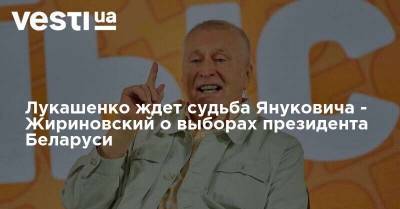 Владимир Зеленский - Александр Лукашенко - Владимир Жириновский - Лукашенко ждет судьба Януковича - Жириновский о выборах президента Беларуси - vesti.ua - Украина - Белоруссия