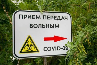 Число зараженных коронавирусом в России превысило 892 тыс. человек - znak.com - Москва - Россия - Красноярский край - Иркутская обл. - Санкт-Петербург - Московская обл. - Нижегородская обл. - Ростовская обл. - Свердловская обл. - Югра - Омская обл. - Ставрополье