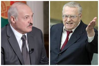 Виктор Янукович - Александр Лукашенко - Владимир Жириновский - Александра Лукашенко - Жириновский поддержал восстание в Беларуси, пригрозив Лукашенко: "Ждет судьба Януковича" - politeka.net - Россия - Украина - Белоруссия