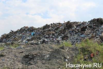 На свалке в Екатеринбурге нашли мешки с медицинскими документами, содержащими персональные данные - nakanune.ru - Екатеринбург - Свердловская обл.