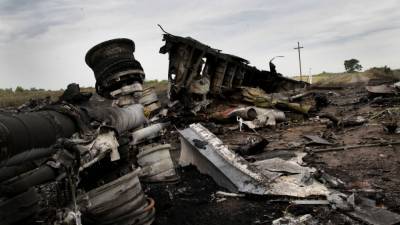 Николай Топорнин - Эксперт заявил, что новые улики отдаляют поиск истины в деле MH17 - riafan.ru - Москва - Россия - Украина - Киев