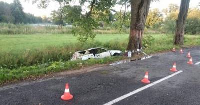 В Озёрском районе водитель Volkswagen врезался в дерево, пострадали двое детей - klops.ru - Озерск