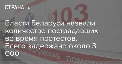 Александр Лукашенко - Власти Беларуси назвали количество пострадавших во время протестов. Всего задержано около 3 000 - strana.ua - Белоруссия - Протесты