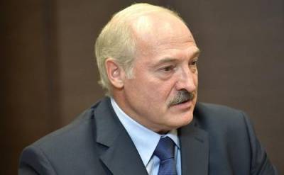Александр Лукашенко - Сергей Лебедев - Лукашенко: протестующими в Белоруссии управляли из-за границы - argumenti.ru - Россия - Украина - Англия - Белоруссия - Польша - Чехия
