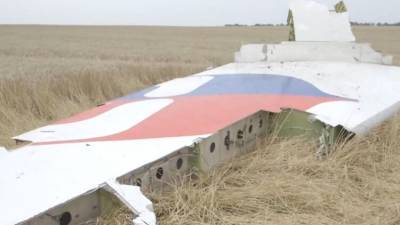 Николай Топорнин - Топорнин: Bonanza Media еще больше запутало дело о MH17 - polit.info - Россия - Украина - Киев - Голландия