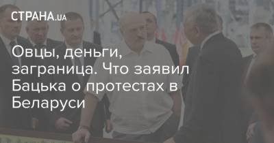 Александр Лукашенко - Сергей Лебедев - Овцы, деньги, заграница. Что заявил Бацька о протестах в Беларуси - strana.ua - Россия - Англия - Белоруссия - Польша - Чехия