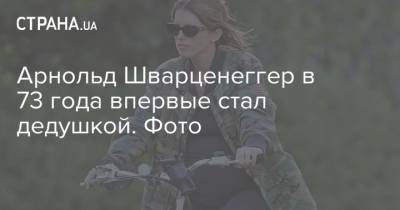 Джуд Лоу - Арнольд Шварценеггер - Крис Пратт - Арнольд Шварценеггер в 73 года впервые стал дедушкой. Фото - strana.ua