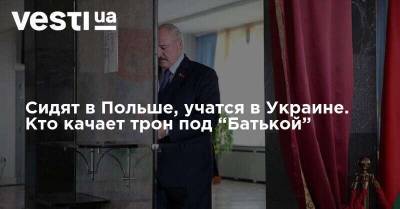 Александр Лукашенко - Светлана Тихановская - Сидят в Польше, учатся в Украине. Кто качает трон под “Батькой” - vesti.ua - Украина - Белоруссия - Польша