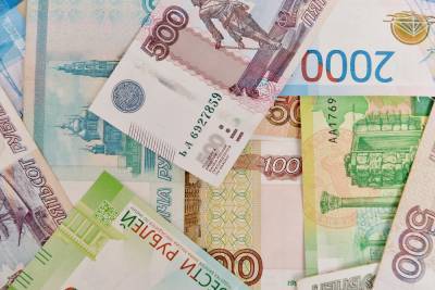 Долю оклада в зарплатах бюджетников предложили увеличить в России - vm.ru - Россия
