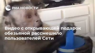 Видео с открывающей подарок обезьяной рассмешило пользователей Сети - ria.ru - Москва - США